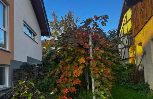 Kleine Auszeit - Ferienwohnung Heideberg - "Rhein" in den Urlaub - Foto 18