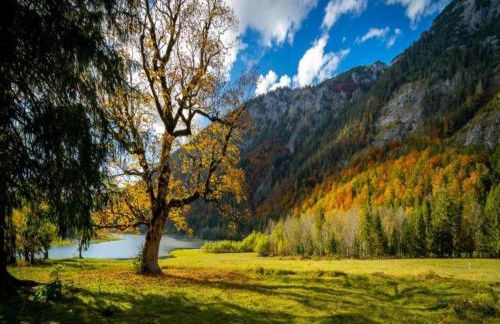 Ferienwohnung in den Ruhpoldinger Bergen - Foto 73