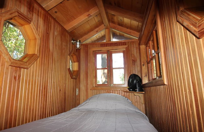 Out 'N' About Treehouse Treesort - Foto 41