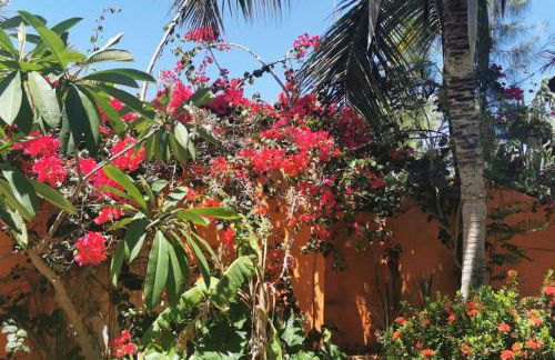 Beautiful house 5 minutes on foot to centre, Wi-Fi, parking, kitchen - Foto 5