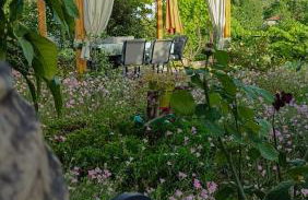 Mikros Paradisos Pelion - Foto 76