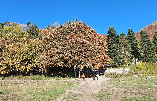 Excursion au Mont Dajt + BunkArt 1 - Photo 1
