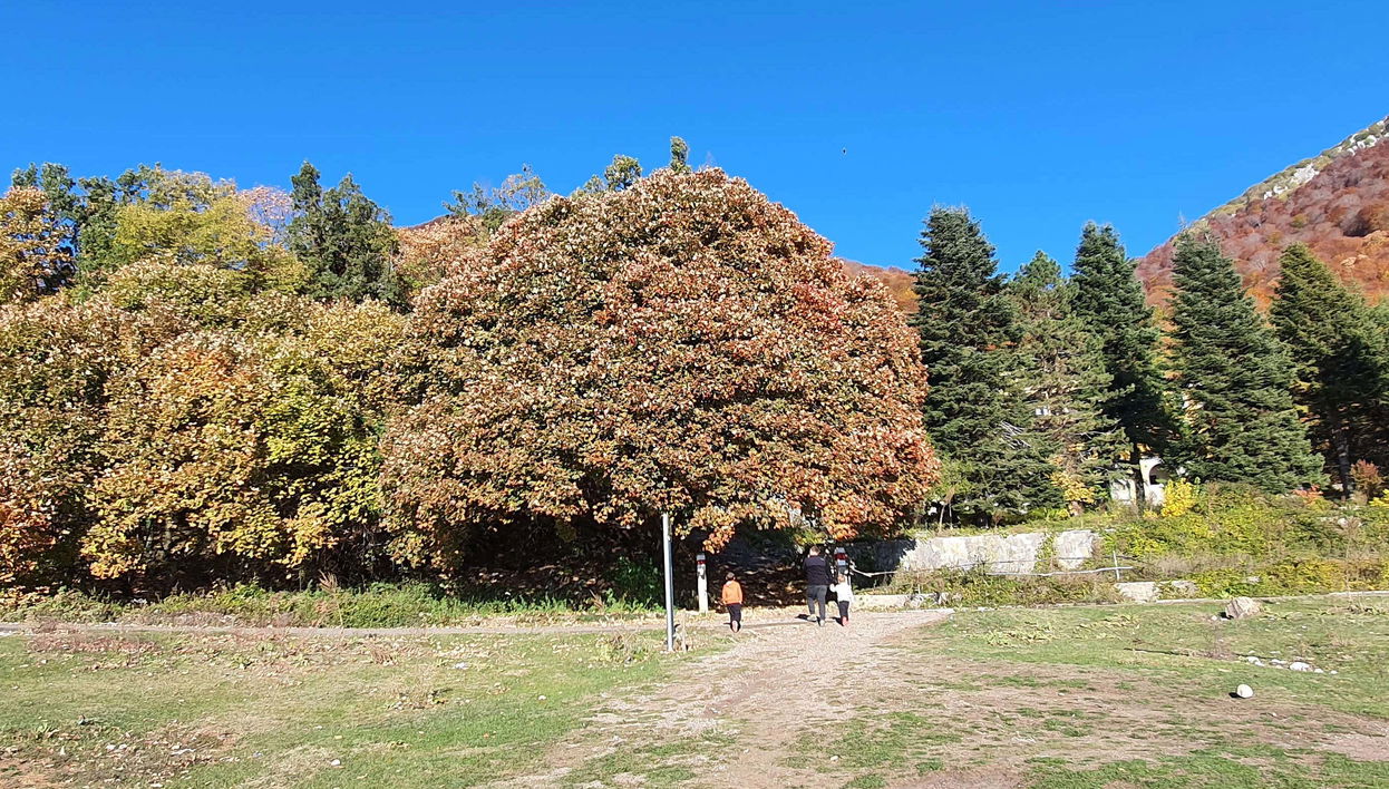 Excursion au Mont Dajt + BunkArt 1