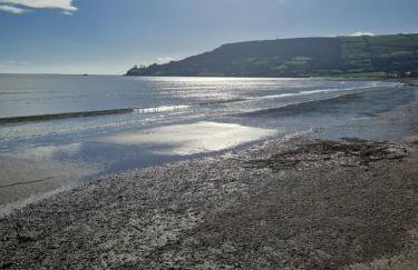 The Nest Carnlough - Foto 12