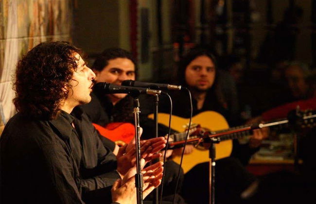 Show en el Tablao Flamenco 1911 - Foto 3