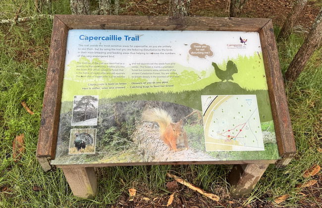 Highland Chalet Retreat in Boat of Garten - Foto 15