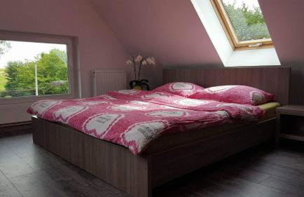 Apartamenty Holiday Slaw jacuzzi bilard - Foto 67