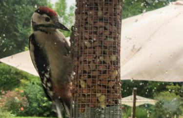 Brays Cottage, Inkpen - Perfect Country Time - Foto 67