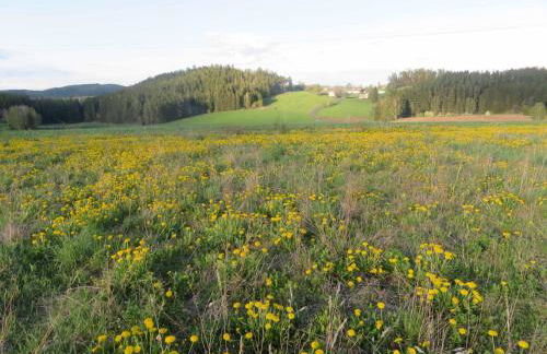 Ferienhaus Waldblick - Foto 38