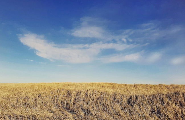 8 Person Holiday Home in Frostrup - Foto 17