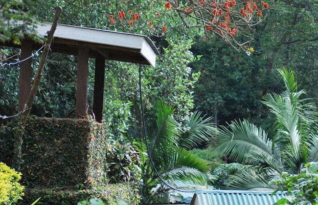 Crater Bay Cottages - Photo 50