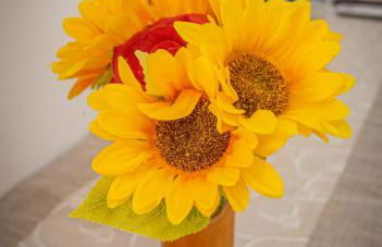 Ciuri Ciuri - Foto 16