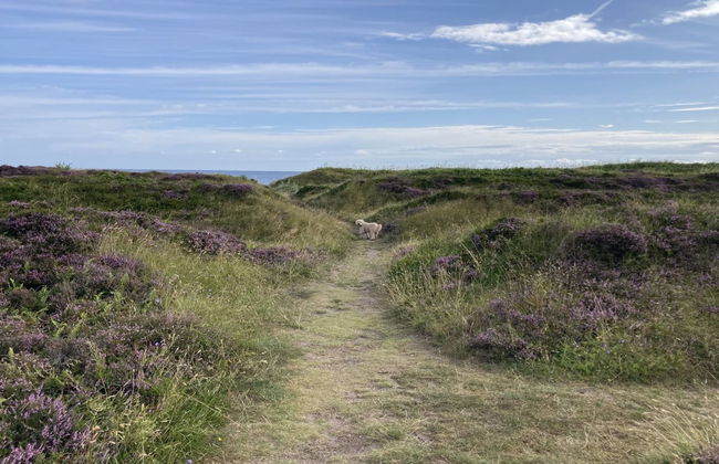 "Malte" - 75m from the sea - Photo 9