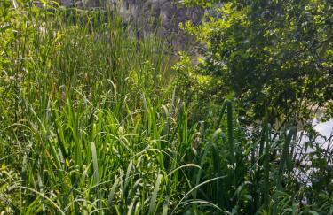Moderne Ferienwohnung in Bad Salzuflen - Zentrale Lage & Wohlfühlkomfort - Foto 31