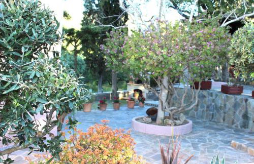 Elis superb villa - Foto 51