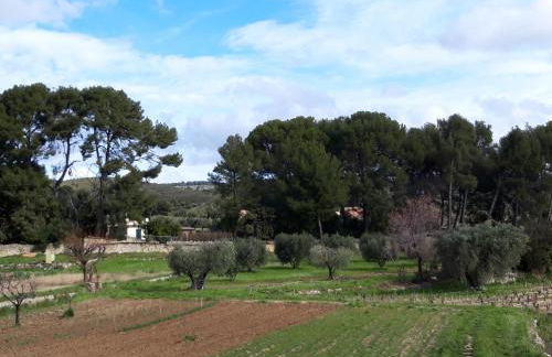 Gîte " Le Clos de la Pinède " - Foto 1