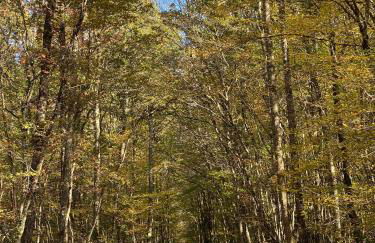 GSand Le Clos du May - Foto 47