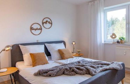 Apartment Bergwiese I Balkon I Aufzug I Stellplatz - Foto 17