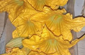 Serenità nella Natura - Foto 22