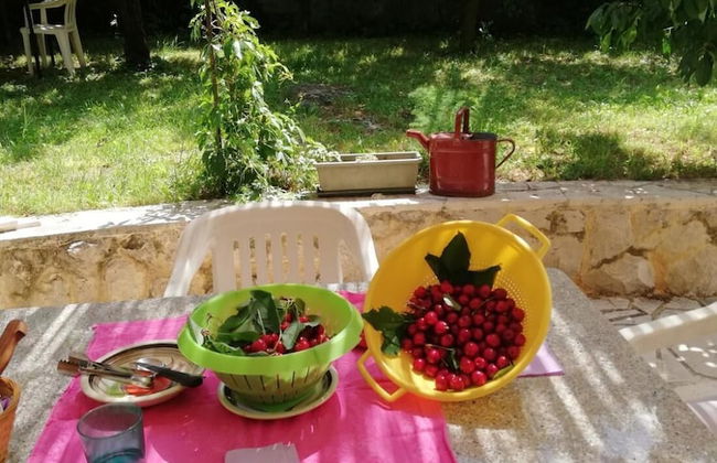 Vacation House Dunja - Foto 24