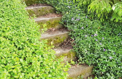 Holiday Home Morag Kretowiny V - Foto 14