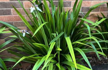 Loft Sonho de Beija - Foto 34