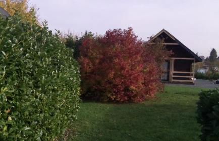 Chalet Domaine du Hulobiet - Foto 40