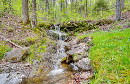Picture-Perfect Vermont Mtn Cabin with Hot Tub! - Foto 40