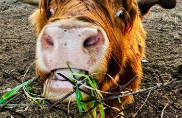 Widać Wydmy - Foto 75