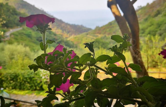 Agriturismo Costa di Campo - Foto 38