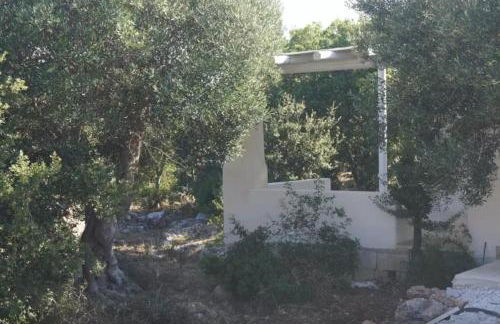 Infinity Pool Villa - Foto 47