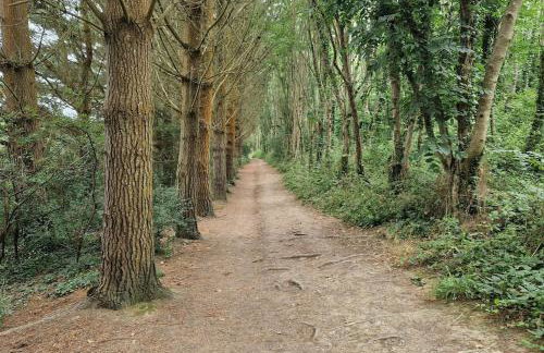 6 Porth Sands Newquay Cornwall Luxury with Sea Views - Foto 57