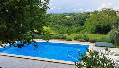 House Roko - Photo 4