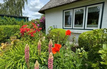 Emmis-Ferienhaus - Foto 27