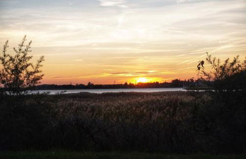 Frühlingserwachen im Haus Wassermann - Foto 52