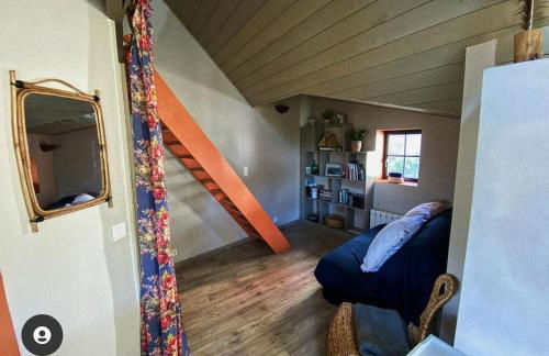 Chouk-Ezaï côte sauvage de l'île - Photo 8