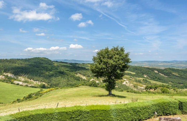 Verdidea - Podere del Mezzadro - Foto 74
