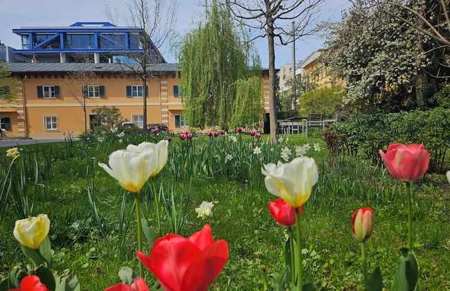 GrazRentals - Foto 77