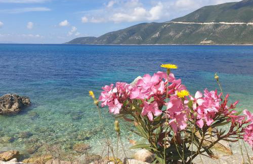 Villa Rena Agios Petros - Foto 57