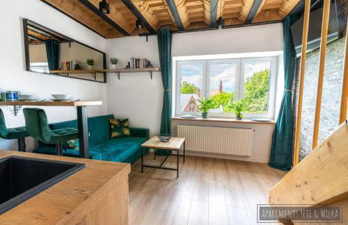 Apartamenty Yeti & Wilka w Centrum Chorzowa: Wilk - Foto 2