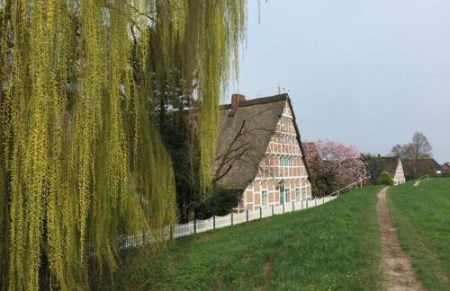 FeWo Blankenese im Haus Lühegarten - Photo 18