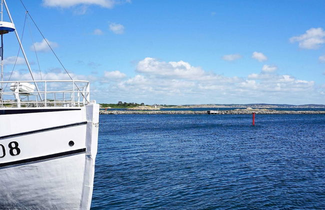 4 Person Holiday Home in FotÃ¶, VÃ¤stra GÃ¶taland - Photo 4