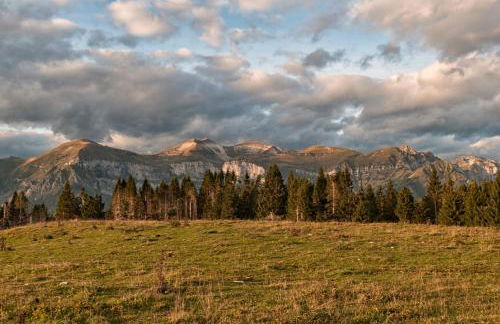 La Maisonette - Photo 52