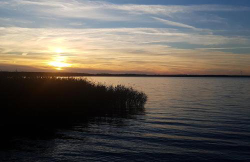 Blick zum See - Foto 12