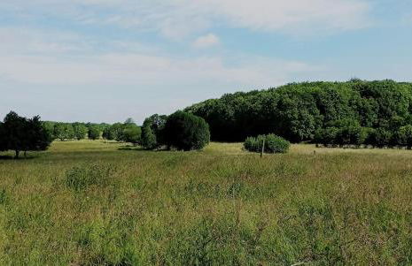 Ferienhaus Ebsen HH 1 - Foto 22