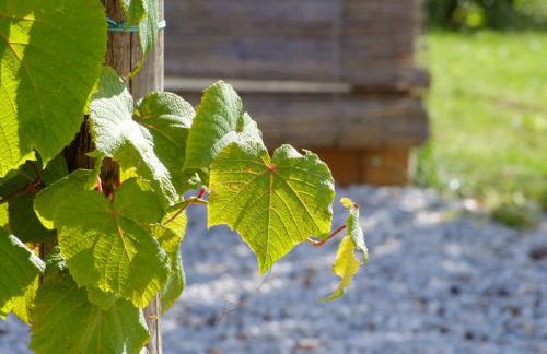 Agriturismo L'Acero Rosso - Foto 70