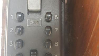 LA Chataigne - Foto 2