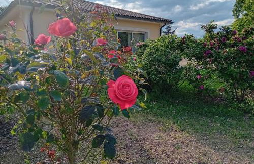 Gite L'Entraxe très lumineux au cœur de Saint Didier - Foto 18