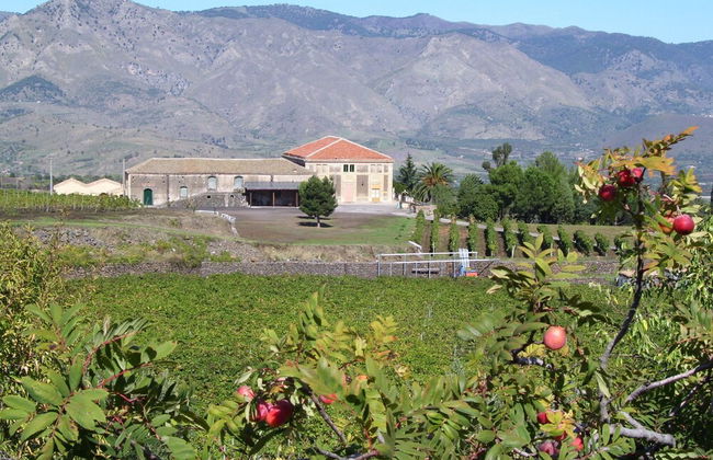Etna Wine Agriturismo - Foto 34