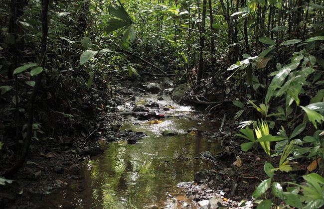 VerdEnergia - Foto 5